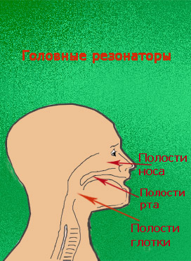 головные резонаторы